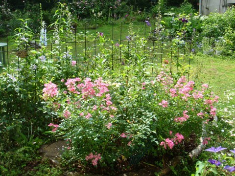 大人も着やすいシンプルファッション コクシグル ハンガー 薔薇